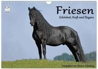 Kalender 2027 &middot; Friesen - Sch&ouml;nheit, Kraft und Eleganz | Friesenpferde &middot; die...