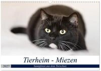 Kalender 2027 &middot; Tierheim - Miezen | Kleine und gro&szlig;e vierbeinige...