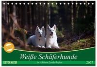 Kalender 2027 &middot; Wei&szlig;e Sch&auml;ferhunde in sch&ouml;nen Landschaften | Wei&szlig;e...