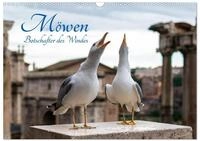 Kalender 2027 &middot; M&ouml;wen- Botschafter des Windes | Ausdrucksstarke Naturaufnahmen