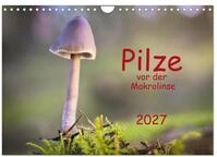 Kalender 2027 &middot; Pilze vor der Makrolinse 2027 | Fotos von Pilzen...