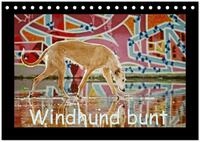 Kalender 2027 &middot; Windhund bunt | mit den zauberhaften Langnasen durch die Natur...