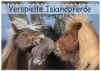 Kalender 2027 &middot; Verspielte Islandpferde Kopf an Kopf | Portraits von...