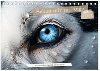 Kalender 2027 &middot; Schau mir ins Auge | Augen sind Fenster in eine neue Welt &middot;...