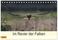 Kalender 2027 &middot; Im Revier der Falken | Turmfalken in freier Wildbahn, von Jens