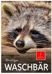 Kalender 2027 &middot; Drolliger Waschb&auml;r | Eindrucksvolle Bilder der scheuen Tiere...