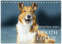 Kalender 2027 &middot; Ein Freund f&uuml;rs Leben - Smooth Collie | In wundersch&ouml;nen...