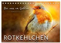 Kalender 2027 &middot; Bei uns im Garten - Rotkehlchen | Eindrucksvolle Bilder der