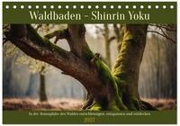 Kalender 2027 &middot; Waldbaden - Shinrin Yoku | In der Atmosph&auml;re des Waldes