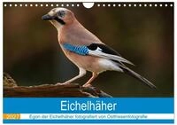 Kalender 2027 &middot; Eichelh&auml;her - Egon der Eichelh&auml;her fotografiert von 