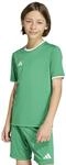 adidas Unisex Kids Entrada26 Kids Trikot
