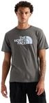 THE North FACE Herren Evolution Half Dome Regular Short Slee T-Shirt (1er Pack)