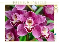 Puzzle &middot; Hybrid-Cymbidium | 1000 Teile &middot; Lege-Gr&ouml;&szlig;e 64 &times; 48 cm &middot; CALVENDO