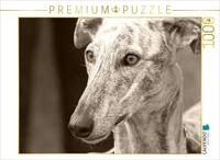 Puzzle &middot; Galgo Espa&ntilde;ol | 1000 Teile &middot; Lege-Gr&ouml;&szlig;e 64 &times; 48 cm &middot; CALVENDO...
