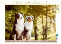 Puzzle &middot; EIN Motiv aus dem Kalender Australian Shepherds Kalender 2017 | 1000...