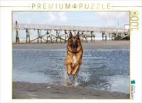 Puzzle &middot; Deutscher Sch&auml;ferhund in Sankt Peter-Ording | Deutscher Sch&auml;ferhund