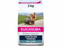 Eukanuba Breed Specific Yorkshire Terrier Trockenfutter - optimal auf die Rasse