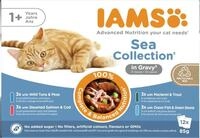 IAMS Delights Sea Collection Katzenfutter Nass - Multipack mit Fisch Sorten (Lachs,