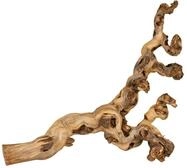 TRIXIE wassergestrahlte Weinrebe - ideal zum Klettern - Reptilien, V&ouml;gel, Kaninchen