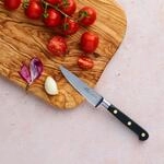 Sabatier Lion Ideal Knife (10 cm)