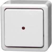 Kopp 514602006 Kontrollschalter Aufputzprogramm Standrad, 10 A, 250 V