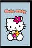 empireposter Hello Kitty Blumenstrauß - Bedruckter Spiegel mit Kunststoff...
