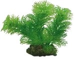 Hobby Egeria, 13 cm