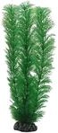 Hobby Egeria, 20 cm
