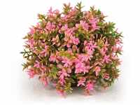 biOrb 46088 Blumenball pink - künstliche Wasserpflanze mit hohem Detailgrad zur