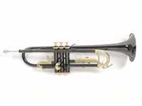 Roy Benson Bb-Trompete TR-101K (ML Bohrung, Edelstahl Ventile, Goldmessing...