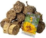 dobar&reg; 22690e Schilfrohrhalme-Set 1.000 STK - Insektenhotel Bastelset -