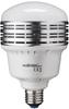 Walimex Pro LED Lampe LB-25-L für Fotoaufnahmen (E27 Sockel, 25 Watt, 2500...