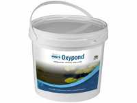 AquaForte Oxypond (vorher Oxyper) Aktivsauerstoff Teichpflegemittel 1kg (reicht...
