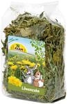 JR FARM L&ouml;wenzahn 500 g