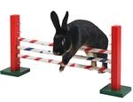 Kerbl Pet Agility Steilsprung f&uuml;r Nager 70 x 5 x 35 cm