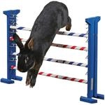 Kerbl Pet Agility Kombisprung f&uuml;r Nager, H&ouml;he 53 cm