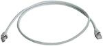 TELEGARTNER Cat.6A Patchkabel 2m Grau LSZH S/FTP