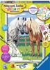 Ravensburger Malen nach Zahlen 28566 - Glückliche Pferde Kinder ab 7 Jahren
