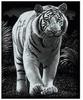 MAMMUT 136040 - Kratzbild, Motiv Tiger, silber, glänzend, Komplettset mit