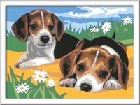 Ravensburger CreArt Jack Russell Welpen - Malen nach Zahlen ab 7 Jahre | Malset...