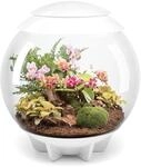 biOrb 46147 biOrb AIR 60 wei&szlig; - automatisiertes Terrarium zur bequemen Pflege