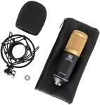 Pronomic CM-100BG Studio Gro&szlig;membranmikrofon XLR-Kondensatormikrofon (mit