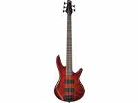 IBANEZ GIO Serie E-Bass 5 String - Charcoal Brown Burst (GSR205SM-CNB)