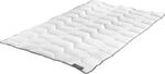 Badenia Trendline Basic Duo Wintersteppbett kochfest mit Bezug aus hochwertigem