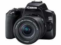 Canon EOS 250D Gehäuse - Schwarz + EF-S 18-55mm f4-5.6 IS STM