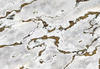 Komar Fototapete MARMORO | 368 x 254 cm | Tapete, Wand, Dekoration, Wandbelag,