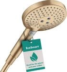 hansgrohe wassersparender Duschkopf Raindance Select S 120 (Regendusche, 3