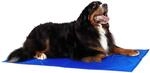 lionto K&uuml;hlmatte f&uuml;r Hunde & Katzen, selbstk&uuml;hlende Haustiermatte sorgt f&uuml;r