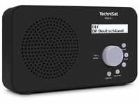 TechniSat VIOLA 2 - tragbares DAB Radio (DAB+, UKW, Lautsprecher,