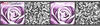A.S. Création selbstklebende Bordüre Stick ups 5,00 m x 0,13 m schwarz lila...